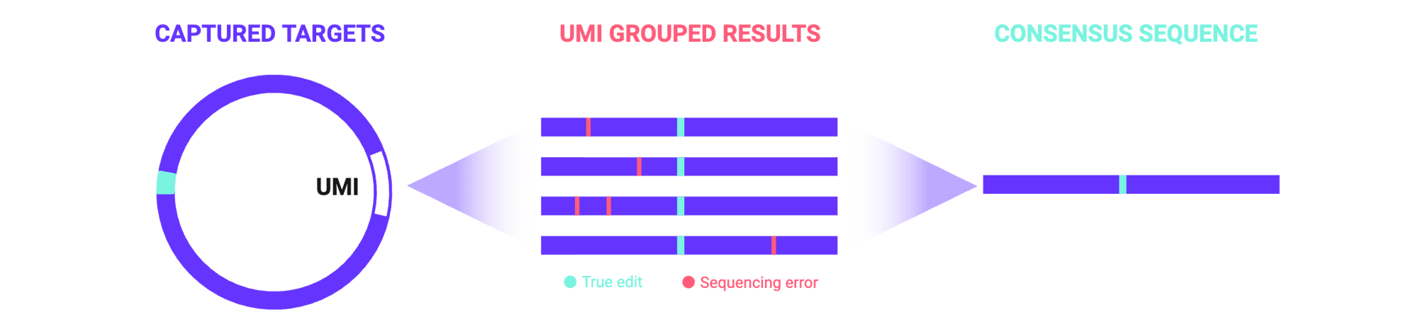 LockSeq Concensus Sequencing