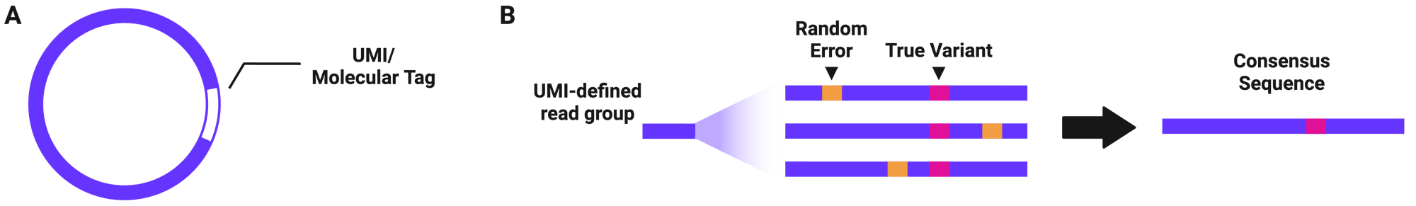 LockSeq Consensus Calling