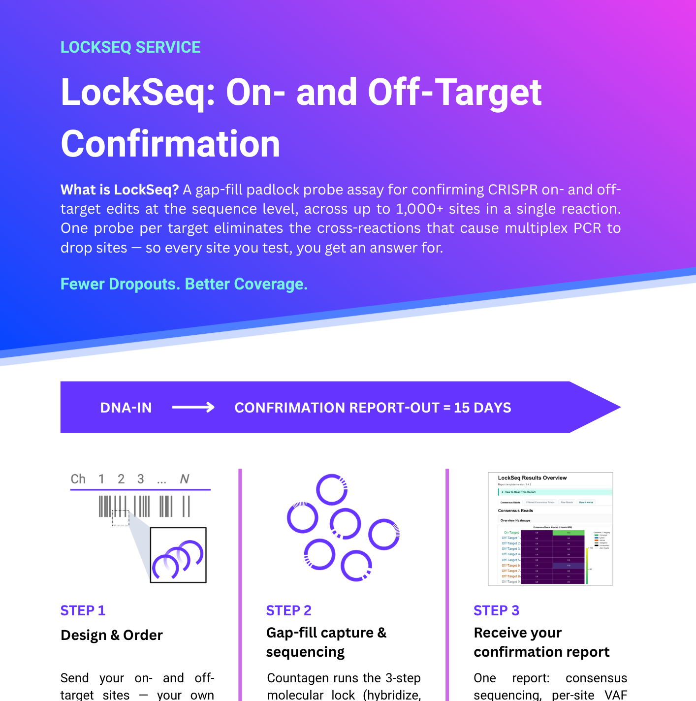 LockSeq Service Flyer